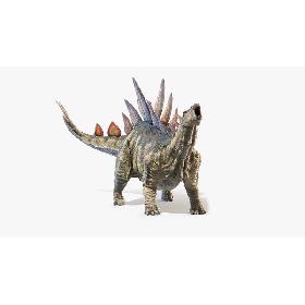 3D Stegosaurus Animated model